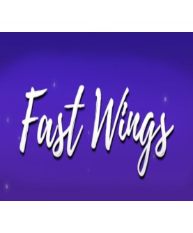 Fast Wings Steam Key GLOBAL